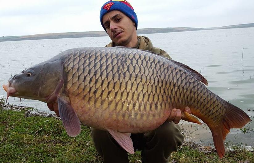 Povestea unui campion mondial. "Numai șase-s norocoși..."